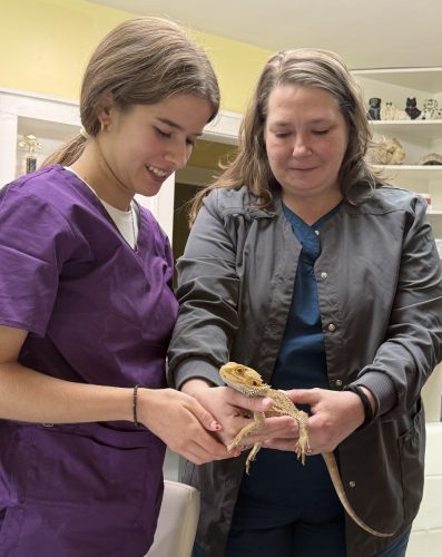Learning safe and gentle handling techniques for exotic pets - so every patient receives the best possible care