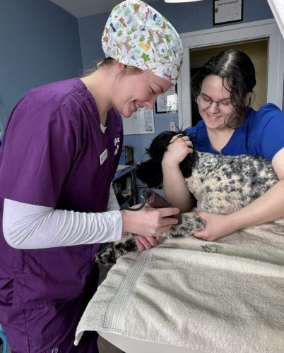 Placing an intravenous catheter prior to surgery